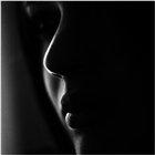 Vanes